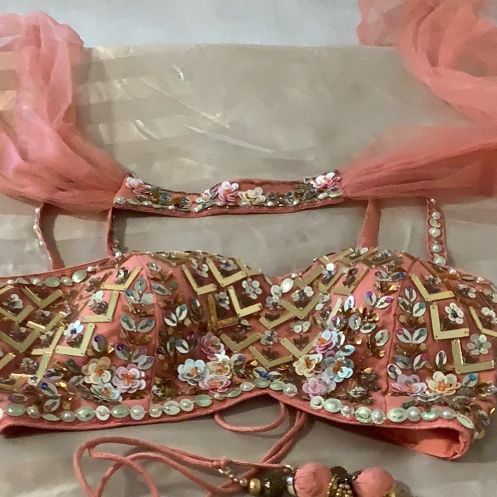 Embellished Coral Pink Beaded Bra Top - Picture 2 of 16